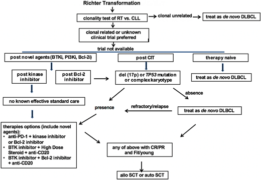 Figure 1. Proposed algorithm for the management of RT DLBCL in the era of novel agents of CLL. Bcl-2i, Bcl-2 inhibitor; BTKi, BTK inhibitor; CR, complete response; treat as de novo DLBCL, typically R-CHOP or R-CHOP like regimens.