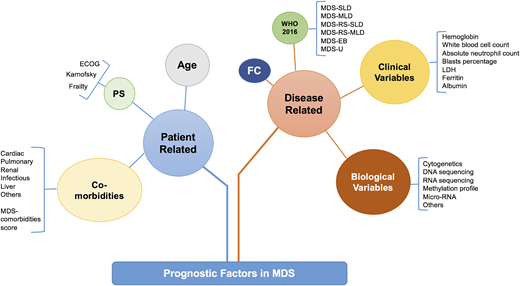Figure 1. Prognostic factors in MDS. How the prognostic factors can be divided into disease-related and patient-related factors. EB, excess blast; FC, flow cytometry; MDS-MLD, MDS with multilineage dysplasia; MDS-SLD, MDS with single lineage dysplasia; PS, performance status; RS, ring sideroblast; U, unclassifiable. Adapted from Nazha et al34 with permission.
