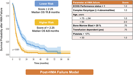 Figure 4. Post-HMA failure model. The clinical characteristics of post-HMA failure model and the survival curves for each risk category.