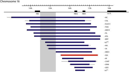 Figure 4. Mutations that cause deletional severe α-thalassemia. Lines indicate uncertainty in the breakpoints. The most common mutation, the ζ‐‐SEA mutation, shown in red, accounts for 80% of such mutations worldwide. Mutations encroaching upon the shaded area have no detectable ζ-globin in definitive erythropoiesis, despite the other promoters in the locus being deleted, suggesting a possible unidentified regulatory region.