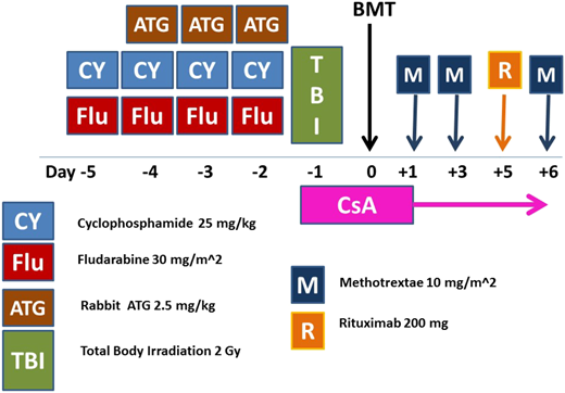 Figure 2. ATG-based conditioning regimen (FCA-TBI) for patients with acquired SAA undergoing unrelated donor transplantation. BMT, bone marrow transplantation; CsA, cyclosporine; CY, cyclophosphamide; FLU, fludarabine; M, methotrexate; R, rituximab 200 mg fixed dose; TBI, total body irradiation.