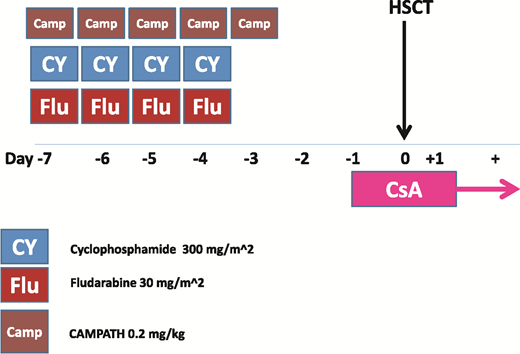 Figure 3. Campath-based conditioning regimen (FCC) for patients with acquired SAA undergoing unrelated donor transplantation. HSCT, hematopoietic stem cell transplantation; Camp, Campath; CsA, cyclosporine; CY, cyclophosphamide; FLU, fludarabine.