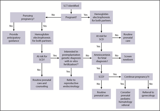 Figure 1. Reproductive decision-making tree for SCT carriers and their physicians. Each branch in this decision tree is contingent on test or procedural availability and accessibility, and decisions are contingent on patient preferences and values. *Preimplantation genetic diagnosis may not be available because of patient location and prohibitive cost. †Chorionic villus sampling or amniocentesis for fetal diagnosis is performed as early as 11 weeks of gestation and offered through week 20; results from this testing may take 1 to 2 weeks to return. ‡Decisions to terminate pregnancy may be affected by insurance and legal restrictions.