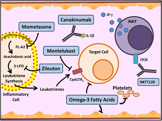 Figure 3. Novel agents targeting inflammation in SCD. Multiple cell types, molecules, and pathways contribute to the chronic inflammatory state in SCD. In SCD, as in asthma, leukocyte membrane phospholipids are hydrolyzed into arachidonic acid (AA), which is metabolized via the 5-lipoxygenase (5-LPO) pathway, leading to formation of inflammatory leukotrienes. Inhibition of this pathway by several agents currently used in asthma (mometasone, zileuton, and monteleukast) is being investigated in SCD. Activated leukocytes also produce various proinflammatory cytokines including IL-1β. Canakinumab in a monoclonal antibody that targets IL-1β. Invariant natural killer T cells (iNKTs) exhibit an activated phenotype and amplify the inflammatory response to hypoxia/reperfusion injury in SCD by producing IFN-ϒ. NKTT120 is a humanized monoclonal antibody that specifically depletes iNKTs. Platelets contribute to inflammation. Omega-3 fatty acids, in addition to favorably altering sRBC fatty acid membrane composition, have a myriad of anti-inflammatory effects and target included leukocytes, platelets, and endothelial cells. iTCR, invariant T-cell receptor; PLA2, secretory phospholipase A2. Adapted from Morrone et al48 with permission.