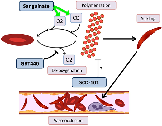 Figure 5. Novel agents targeting RBC sickling in SCD. GBT440 binds Hb and increases its affinity for oxygen (O2), thereby hindering polymerization. Sanguinate helps reverse polymerization and sickling by delivering carbon monoxide (CO) and oxygen to RBCs. The mechanism by which SCD-101 acts to improve sickling remains unknown.