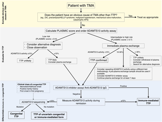 Figure 2. Approach to the diagnosis of TTP. Our approach to the diagnosis of TTP involves 3 steps. In the initial step, obvious alternative causes of TMA are excluded. In the second step, if an obvious alternative cause is not present, the patient should be evaluated for TTP, using the PLASMIC score and measurement of ADAMTS13 activity. Our approach assumes that the ADAMTS13 activity result will not be immediately available and that the initial decision about whether to commence PEX must be made on clinical grounds alone. We recommend initiating PEX in patients with an intermediate- or high-risk PLASMIC score, whereas we recommend withholding PEX in those with a low risk score. The ADAMTS13 activity level is used to refine the diagnosis. An ADAMTS13 level of less than 10% confirms the diagnosis of TTP in patients with an intermediate- to high-risk PLASMIC score and supports the diagnosis in those with a low-risk PLASMIC score. The third step involves distinguishing immune-mediated from congenital TTP. We use clinical information, ADAMTS13 inhibitor/antibody assays, measurement of ADAMTS13 activity in remission, and ADAMTS13 mutation analysis to differentiate between these entities. This algorithm aims to provide general guidance to clinicians, but is not a substitute for clinical judgment, which should be individualized for each patient. APS, antiphospholipid syndrome; DIC, disseminated intravascular coagulation; HELLP, Hemolysis, Elevated Liver function tests, and Low Platelets.