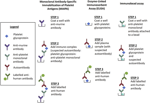 Figure 2. The MAIPA assay can detect autoantibodies directly on the platelet surface or indirectly in the plasma. In the first step of MAIPA, a plate is coated with anti-murine antibody. In the direct assay, a patient’s platelet lysate containing the glycoprotein bound by the suspected autoantibody is mixed with an anti-platelet monoclonal antibody. For indirect MAIPA, normal platelets are mixed with patient test plasma to allow the autoantibody to bind. In the third step, the presence of an autoantibody is detected with a labeled anti-human antibody. The ELISA is an indirect assay in which a plate is coated with platelet glycoprotein followed by the patient test plasma sample. As in the MAIPA, the presence of an autoantibody is detected with a labeled anti-human antibody. The Immunobead assay can be indirect or direct, and it is a type of antigen capture assay similar to the MAIPA; the difference is that the glycoprotein is captured on the well by an anti-platelet monoclonal antibody conjugated to a bead.
