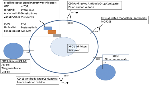 Figure 1. Selected therapies that are available or under investigation for management of aggressive lymphoma. axi-cel, axicabtagene ciloleucel; BiTE, bispecific T-cell engager; CAR-T, chimeric antigen receptor T cells; mTOR, mammalian target of rapamycin; PI3K, phosphatidylinositol-3 kinase; syk, spleen tyrosine kinase.