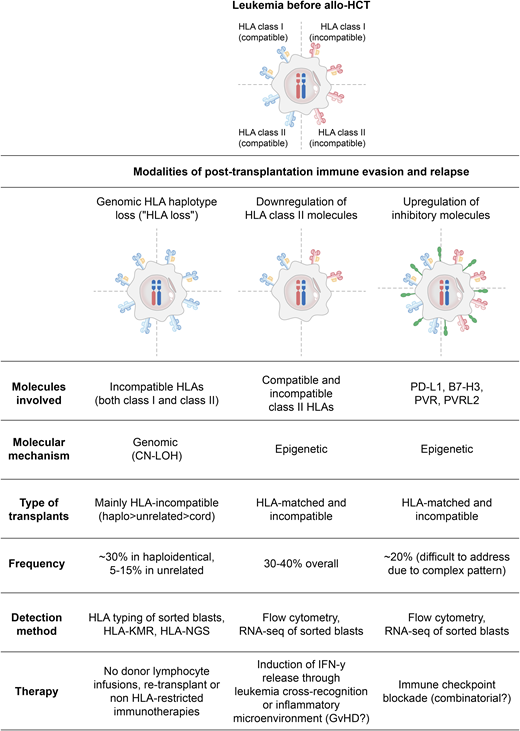 Main mechanisms of leukemia posttransplantation immune evasion and relapse.