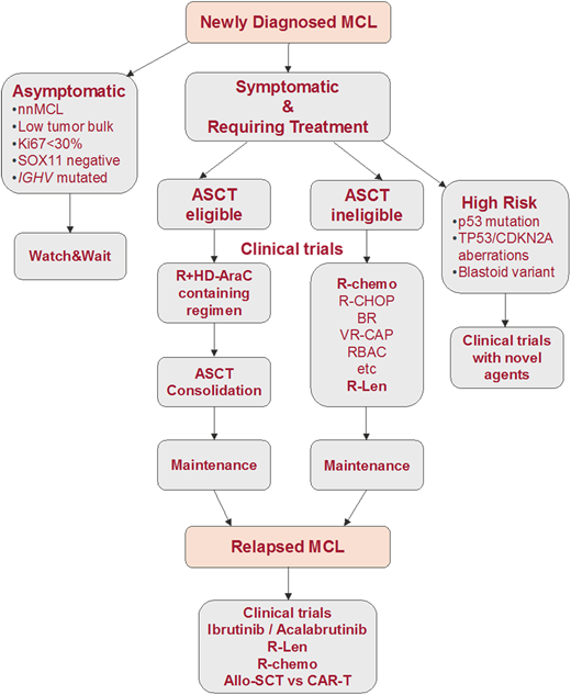 MCL management algorithm. Allo-SCT, allogeneic stem cell transplantation; BR, bendamustine-rituximab; R + HD-AraC, rituximab plus high-dose cytarabine; R-chemo, rituximab plus chemotherapy; R-Len, rituximab-lenalidomide.