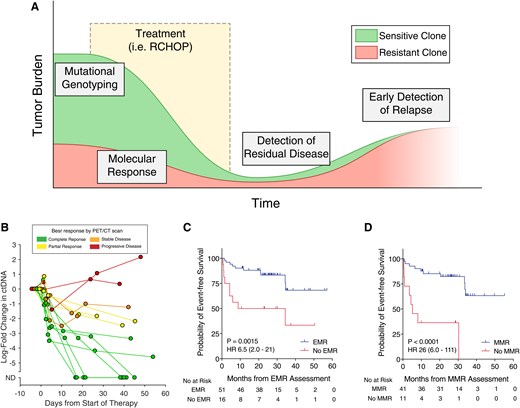 Clinical uses of ctDNA in lymphoma. (A) An idealized schematic of the course of a patient through initial diagnosis, treatment, and relapse with lymphoma. ctDNA assessment has potential applications throughout the disease course, including mutational genotyping prior to treatment, molecular response assessment at early time points during treatment, detection of residual disease at the end of therapy, and early detection of relapsed disease prior to eventual clinical relapse. (B) The dynamics of ctDNA levels in 14 patients with dense serial sampling are shown as a spider plot. Levels of ctDNA are normalized to pretreatment levels, whereas each line is colored according to the patient’s eventual best response by PET/CT scan. (C) Kaplan-Meier estimates of EFS for patients achieving or not achieving a 2-log decrease in ctDNA after 1 cycle of therapy (ie, EMR). (D) Kaplan-Meier estimates of EFS for patients achieving or not achieving a 2.5-log decrease in ctDNA after 2 cycles of therapy (ie, MMR). Data in (B-D) are reproduced from Kurtz et al18 with permission. HR, hazard ratio.
