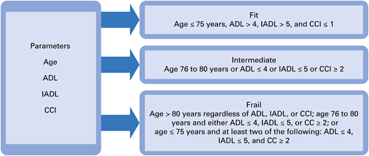 Framework for assessing frailty. CCI, Charlson Comorbidity Index; IADL, instrumental ADL. Reprinted with permission from Larocca and Palumbo.80