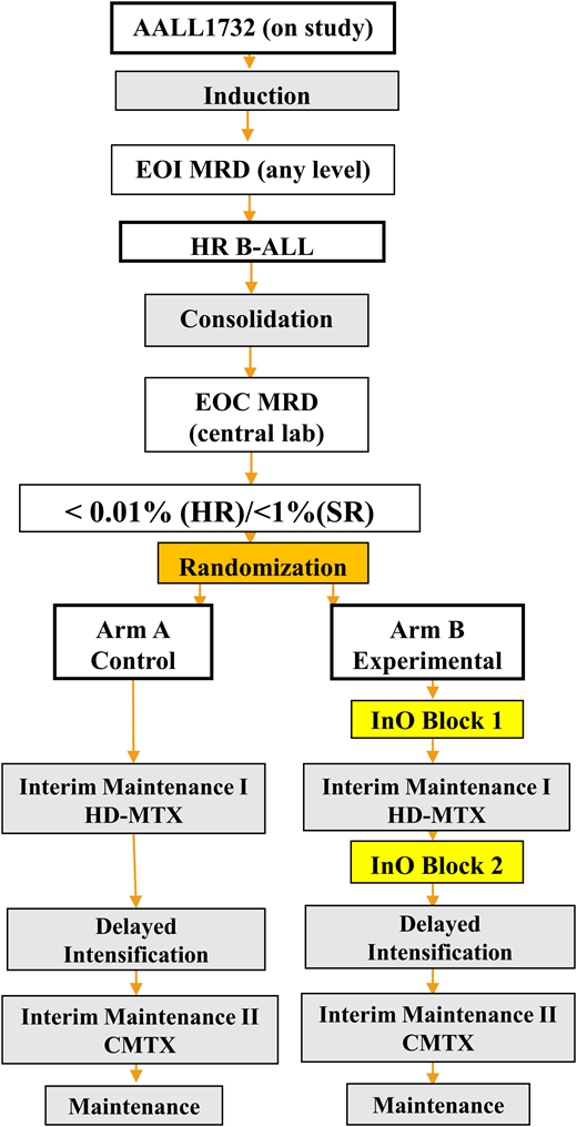 Schematic diagram of COG study AALL1732 showing the randomization between patients receiving standard chemotherapy alone vs standard chemotherapy plus 2 blocks of InO after consolidation and MRD assessment. Schema shown with the permission of COG AALL1732 Study Chairs Jennifer McNeer and Maureen O’Brien.