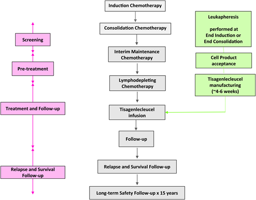 Schematic diagram of COG study AALL1721. The center column shown in gray shows the blocks of patient treatment. The left column shown in pink indicates the different phases of treatment and follow-up. The right column shown in green shows the specific components of the CAR-T product manufacturing process and how the timing of manufacturing parallels the treatment phases. Schema modeled after and shown with permission of COG AALL1721 Study Chair Shannon Maude.