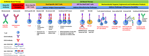 Antibody-based and cell-based immunotherapies that have been clinically translated or are under development. Included are next-generation strategies to address challenges that limit responses and durability of responses after treatment with monospecific chimeric antigen receptors.