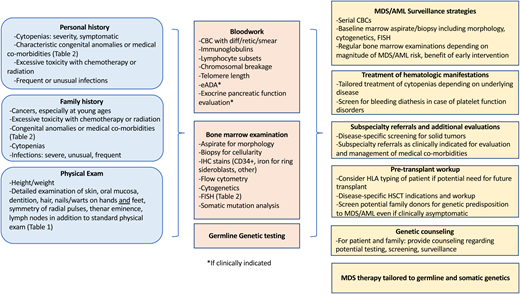 Workup of a patient with suspected MDS predisposition syndrome and management implications. eADA, erythrocyte adenosine deaminase; HSCT, hematopoietic stem cell transplant; IHC, immunohistochemistry.