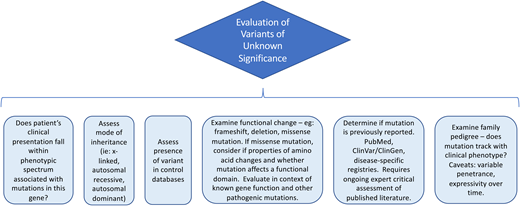 Evaluation of a variant of uncertain clinical significance.
