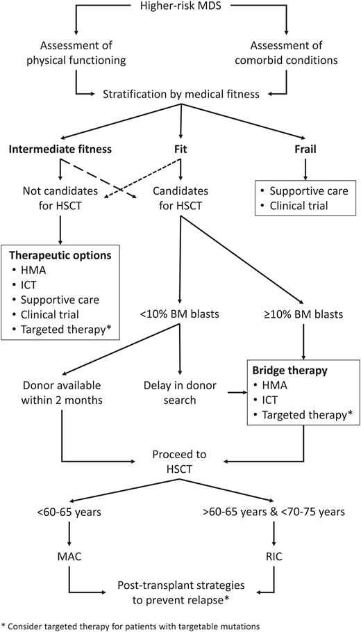Therapeutic algorithm for HR-MDS. Arrow with shorter dashes indicates fit patients who, for some reason, are not candidates for HSCT (eg, patient’s refusal, lack of donor), and arrow with longer dashes indicates intermediate fitness patients who are considered suitable for HSCT.
