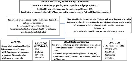 Schematic diagram of a practical approach to the management of cytopenias in immune dysregulatory disorders. APDS, activated phosphatidylinositol 3-kinase δ syndrome; CBC, complete blood count; DAT, direct antiglobulin test; GOF, gain-of-function; IgG, immunoglobulin G; IV, intravenous; MMF, mycophenolate mofetil; NK, natural killer; PASLI, p110 delta-activating mutation causing senescent T cells, lymphadenopathy, and immunodeficiency; PIK3CD, phosphatidylnositol 3-kinase C delta.