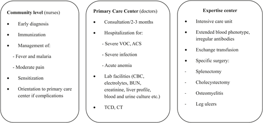 Example of management scheme for SCD in children in low-resource countries. ACS, acute chest syndrome; BUN, blood urea nitrogen; CBC, complete blood count; TCD, transcranial Doppler ultrasonography; VOC, vaso-occlusive crisis.