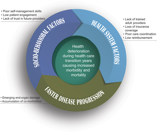 Health deterioration multifactorial model during health care transition years for young adults with SCD.