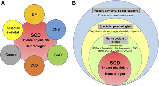 Proposed model for managing SCD in an adult. (A) The traditional single disease–focused framework of comorbidity in which comorbid conditions are considered disease pairs, such as SCD and diabetes mellitus, SCD and cardiovascular disease, and SCD and kidney disease. Most clinical practice guidelines are based on this framework. (B) Multimorbid conceptual framework demonstrating a more patient-centric approach to managing the adult with SCD in the context of physiological aging conditions adding to the accumulating sickle-related complications and social determinants of health. CNS, central nervous system; CVD, cardiovascular disease; DM, diabetes mellitus.