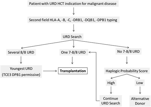 Flowchart for the selection of URD. A patient with malignant disease indication for URD HCT should be typed at high resolution (ie, the second field for the 6 HLA loci (-A, -B, -C, -DRB1, -DQB1, -DPB1) and a donor search initiated immediately. If only one 8/8 or 7/8 donor is available, this donor can be selected. In case of several 8/8 URD, the youngest donor should be selected,4 possibly with an HLA-DPB1 mismatch in the GVH direction permissive according to TCE3 and low risk according to the SNP proxy algorithms.11 If no 8/8 or 7/8 donor is retrieved in the search, the probability of identifying such a donor should be assessed by the HapLogic probability score.23 In case of high probability, the donor search should continue if the disease status of the patient does not impose extreme urgency, such as by requesting additional HLA typing on partially typed potential candidate donors. In case of low probability or extreme clinical urgency, alternative donors should be considered. For patients with nonmalignant disease, permissive HLA-DPB1 TCE3 mismatches hold no graft-versus-leukemia advantage, and the best 8/8 donor is the youngest with allele level HLA-DPB1 matching (12/12; see text).