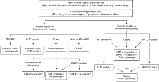 Treatment algorithm of newly diagnosed AML incorporating novel single-agent and combination therapies. Dotted lines represent therapeutic options of unclear benefit and/or warranting additional research. This algorithm does not encompass the treatment of acute promyelocytic leukemia. CBF-AML, core binding factor acute myeloid leukemia; chemo, chemotherapy; HMA, hypomethylating agent; t-AML, therapy-related acute myeloid leukemia.