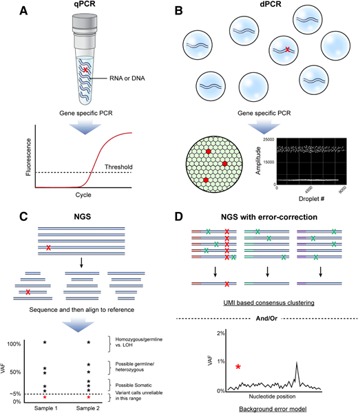 (A) qPCR is a common method for quantification of nucleic acid with real-time monitoring of the amplification of target of interest (eg, variant sequence shown with red X). Advantages include ubiquitous presence in most clinical laboratories, fast turnaround time, high sample throughput, and broad dynamic range. Disadvantages include limited number of suitable targets/assays available, relative lack of multiplexing ability, need to validate each target/assay individually, potential for false-negative results because of sample impurity, and limited ability to accurately discriminate between very low levels of target as seen in MRD. (B) Rather than performing the PCR reaction in “bulk,” digital PCR partitions the template of interest into individual compartments (top), improving the performance compared with qPCR because of the lower background error rate (lower right), elimination of template competition, and digital result output, allowing absolute quantification (lower left). Lack of deep multiplexing ability and the need to validate each target/assay individually remain limitations. (C) NGS has revolutionized the initial clinical diagnostic evaluation of AML by allowing for simultaneous evaluation of multiple target regions typically selected from those known to be often mutated in AML. NGS is useful for discovery of mutations present in the range from 5% to 100% of a sample (VAF). However, not all variants detected will be pathogenic somatic mutations, and care should be taken to consider the possibility of identification of homozygous or heterozygous germline variants, as well as loss-of-heterozygosity (LOH) events. Variant discovery below a VAF of 5% using panels designed for profiling variants at diagnosis is challenging because of the lack of sensitivity and high false-positive rates. Red asterisks represent low-level variant calls that should be regarded with particular caution as within the range of background error for conventional NGS. (D) NGS for AML MRD performed in recent high-quality research studies has typically included error correction (upper), by incorporation of UMIs, followed by consensus determination of true (red X) variants vs false positives introduced by the technique (green X) and/or bioinformatic approaches to model background error rates at each nucleotide position in those not having a variant and determine the probability that the observed variant is a true positive (red asterisk) (lower). Figure by Erina He, National Institutes of Health Medical Arts.
