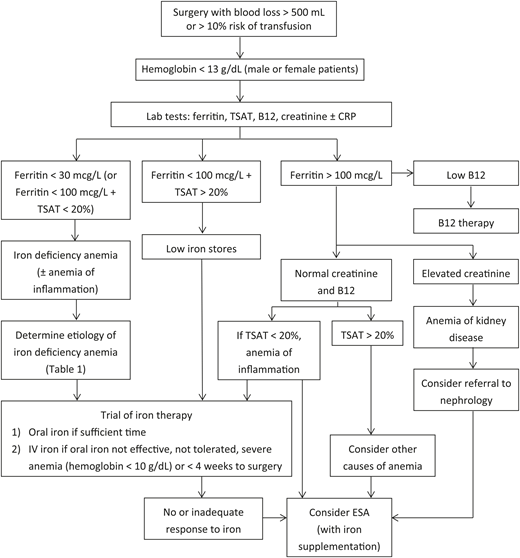 Preoperative anemia management algorithm.12,19,51 CRP, C reactive protein; ESA, erythropoiesis stimulating agent; TSAT, transferrin saturation.