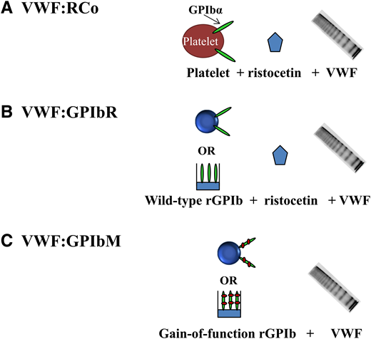 Platelet-dependent VWF activity assays. (A) VWF:RCo includes “traditional” assays that use ristocetin to induce VWF binding to platelets. (B) VWF:GPIbR includes assays based on ristocetin-induced binding of VWF to recombinant wild-type GPIbα fragments tethered to either latex particles or an enzyme-linked immunosorbent assay (ELISA) plate. (C) VWF:GPIbM assays are based on spontaneous binding of VWF to recombinant gain-of-function GPIbα fragments tethered to either latex particles or an ELISA plate