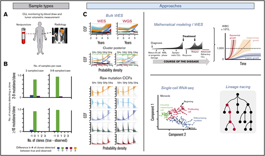 Approaches to studying clonal dynamics in CLL. (A) Serial blood draws coupled with volumetric measurements can help monitor CLL progression and contribute to estimations of growth kinetics. (B) Serial samples can increase the sensitivity of clonal detection as compared with depth of sequencing (reprinted from Gruber et al1 with permission). (C) WES, mathematical modeling, and single-cell RNA sequencing can individually and in combination provide insight into determinants of clonal dynamics. Novel lineage-tracing tools are increasingly being leveraged to study clonal dynamics and evolution across cancers (left panel reprinted from Gruber et al1 with permission; top right panel reprinted from Guieze et al66 with permission; bottom right panel reprinted from Trapnell et al44 with permission).
