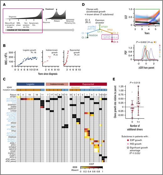 (A) Application of mathematical modeling to data of patients with CLL in the setting of watch and wait. (B) Logistic, indeterminate, and exponential growth patterns discernible in CLL progression. Growth patterns are associated with marked differences in genetic composition (C), extent of clonal evolution, and growth dynamics (D and E). Reprinted from Gruber et al1 with permission.