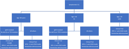 Proposed frontline treatment algorithm. moAb, monoclonal antibody.