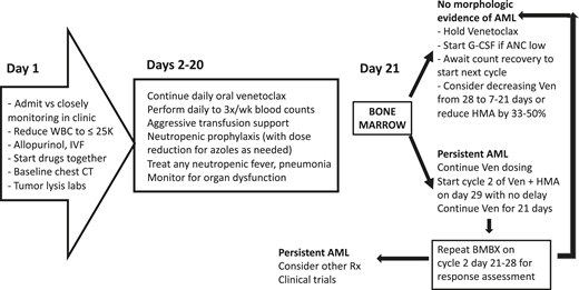 Management approach for venetoclax plus HMA/low-dose cytarabine. BMBX, bone marrow biopsy; IVF, intravenous fluid; Rx, prescription; Ven, venetoclax.