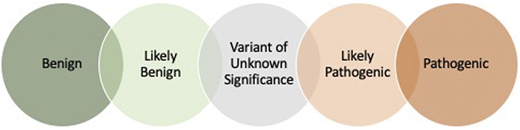 Variant classifications. On the basis of American College of Medical Genetics and Genomics/Association for Molecular Pathology guidelines,34 the variant classifications have been proposed along with a scoring system to standardize variant interpretation across clinical laboratories.