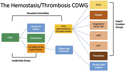 Structure of the Hemostasis/Thrombosis Clinical Domain Working Group.