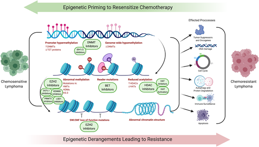 Epigenetic priming to resensitize chemotherapy. Derangements in multiple epigenetic processes lead to shifts in entire networks of signaling pathways, tumor suppressors, oncogenes, DNA-damage response, cell cycle, autophagy and protein degradation, and immune surveillance and apoptosis.