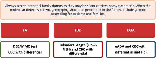 Screening of potential family donors. For a detailed discussion about diagnosis and genetic testing for IBMF and hematopoietic malignancy syndromes, the readers should refer to Furutani and Shimamura.2 DEB, diepoxybutane chromosome breakage test; Flow-FISH, flow cytometry with fluorescent in situ hybridization. CBC, complete blood counts with reticulocytes; HbF, fetal hemoglobin.
