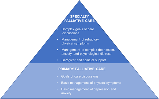 Primary and specialty palliative care.