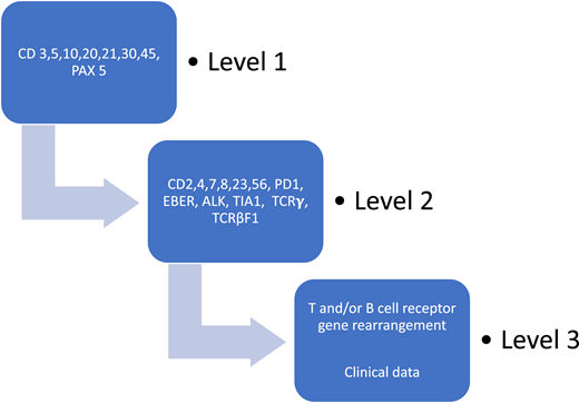 Algorithmic approach to diagnosis of PTCL after evaluation of basic demographics. Schematic of the case review algorithm. Adapted from the North American PTCL Study Group Project.10