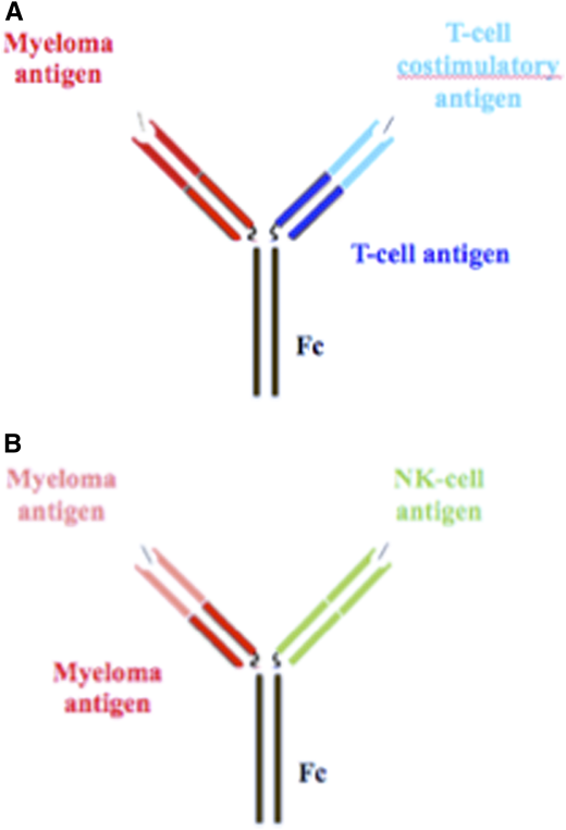 Trispecific antibodies. (A) Trispecific T-cell engagers, with 1 binding domain for the myeloma antigen and 2 for the T-cell antigens, which include CD3 and a costimulatory antigen. These schematics are representative of trispecifics and not the actual constructs. (B) Trispecific NK-cell engager with 2 myeloma antigen-binding domains and 1 NK-cell antigen domain.