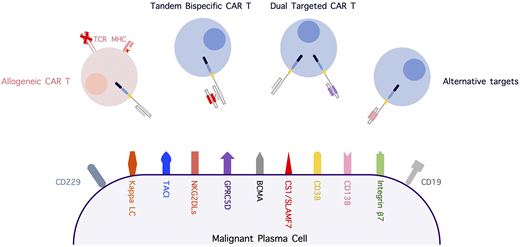 Alternative myeloma-associated targets for immune-based therapy and strategies involving novel CAR T-cell constructs. CS1, CD2 subset 1; LC, light chain; MHC, major histocompatibility complex; NKG2DLs, NKG2D ligands; SLAMF7, signaling lymphocytic activation molecule family 7; TACI, transmembrane activator and CAML interactor; TCR, T-cell receptor.
