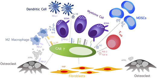The complicated immunosuppressive TME effect on CAR T cells includes a wide array of cellular network and cytokines that induce CAR T-cell exhaustion, inhibit CAR T-cell function, and promote CAR T-cell apoptosis. APRIL, a proliferation-inducing ligand; IL, interleukin; LAG-3, lymphocyte-activation gene-3, MDSCs, myeloid-derived stem cells; NO, nitric oxide; PGE-2, prostaglandin E2; TGF-B, transforming growth factor β; TIM-3, T-cell immunoglobulin mucin-3; Treg, regulatory T cell.