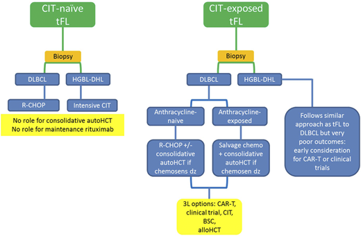 Graphic summary of how I treat tFL. CIT, chemoimmunotherapy; BSC, best supportive care; HCT, hematopoietic stem cell transplant.
