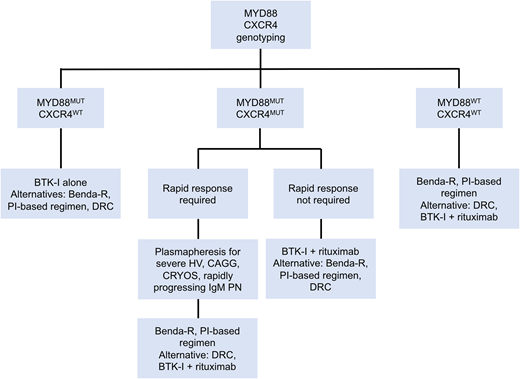 Genomic-based treatment algorithm for symptomatic treatment-naive patients with WM. Benda-R, bendamustine and rituximab; BTK-I, Bruton tyrosine kinase inhibitor; CAGG, cold agglutinin disease; CRYOS, cryoglobulins; DRC, dexamethasone, rituximab, cyclophosphamide; HV, hyperviscosity; PI, proteasome inhibitor; PN, progressive neuropathy. Adapted with permission from Treon et al.49