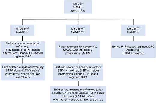 Genomic-based treatment algorithm for symptomatic, previously treated, or refractory patients with WM. Benda-R, bendamustine and rituximab; BTK-I, BTK inhibitor; CAGG, cold agglutinin disease; CRYOS, cryoglobulins; DRC, dexamethasone, rituximab, cyclophosphamide; HV, hyperviscosity; NA, nucleoside analogs; PI, proteasome inhibitor; PN, progressive neuropathy. Adapted with permission from Treon et al.49