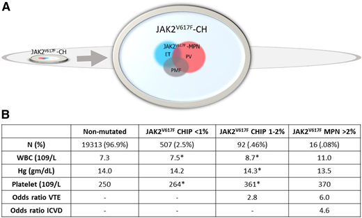 Frequency of JAK2V17F in the general population and in associated laboratory and clinical phenotypes. Data are from the Danish Suburban Population Survey.33 (A) JAK2V617F was identified in 3% (615/19958) of the general population, represented as the small chip within the larger oval. The arrow indicates an enlargement of this chip and shows that JAK2V617F MPN comprised only 2.6% of the total JAK2V617F CH population, with JAK2V617F MPN phenotypes indicated as overlapping colored circles. (B) Average blood counts and associated venous thromboembolism (VTE) and ischemic cerebrovascular disease (ICVD) from the non-mutated (CALR-negative and JAK2V617F-negative) and JAK2V617F-positive populations stratified by JAK2V617F VAF). Asterisks indicate significantly different values compared with the nonmutated population (*P < .05). WBC, white blood cell.
