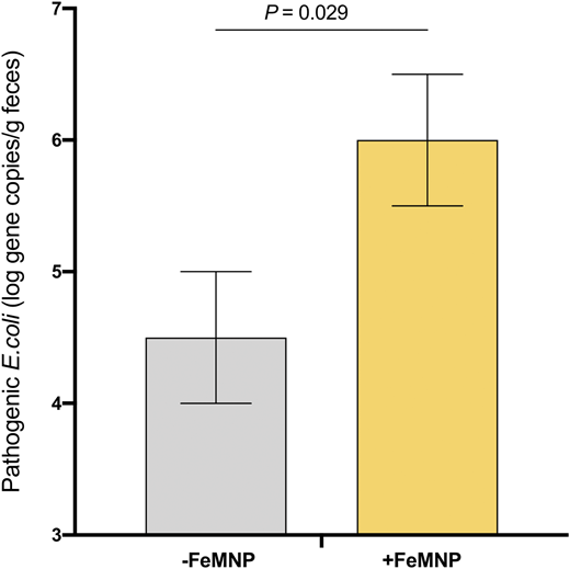 Abundance of pathogenic E. coli at endpoint, by group, in Kenyan infants (n = 115) receiving daily for 4 months an MNP containing either no iron (−FeMNP) or 2.5 mg or 12.5 mg iron (+FeMNP). Univariate general linear models with baseline values as covariates were used to estimate the intervention effect. Adapted from Jaeggi et al.20