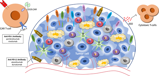 Schematic diagram of the lymphoma tumor microenvironment and treatment modalities currently being evaluated to target aspects of the tumor microenvironment. D, dendritic cell; IDO, indoleamine 2,3-dioxygenase; M2 TAM, M2 tumor-associated macrophage; T4, intratumoral CD4+ cell; T8, intratumoral CD8+ cell; Treg, regulatory T cell.